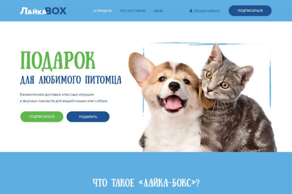 laika_box_1.jpg