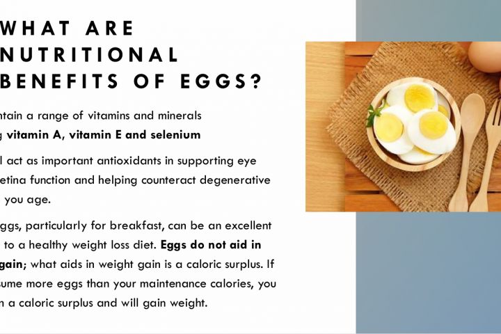 Microsoft Power Point - 5369525