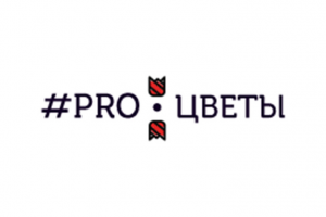 PRO-ЦВЕТЫ