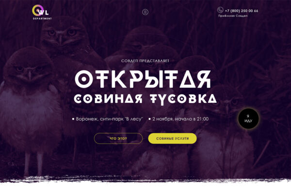 совы_4.jpg