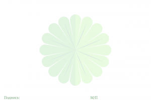 Фирменный бланк