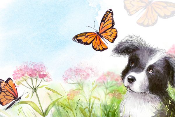 Иллюстрация для детской книги