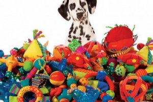 текст для рекламы товаров для домашних питомцев