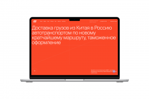 Таможенно-логистическая группа «АМУР»