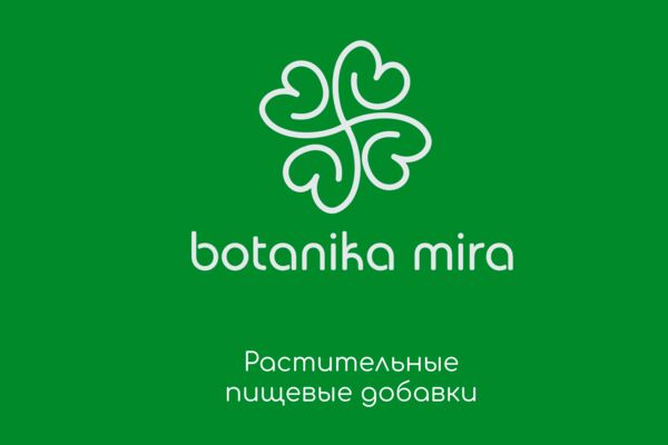 логотипы.png