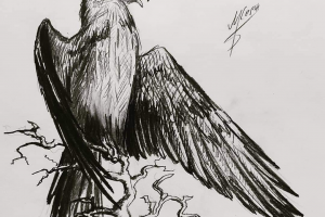 Рисунок птиц