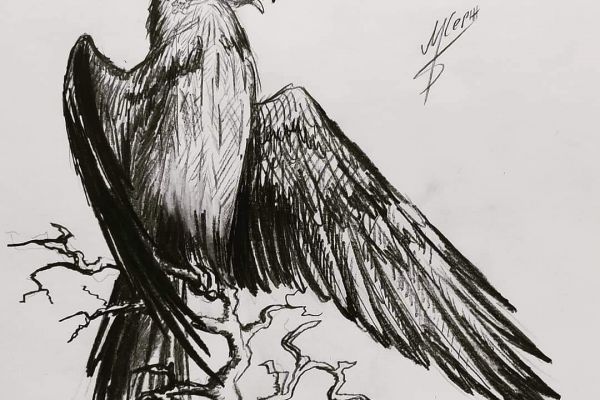 Рисунок птиц