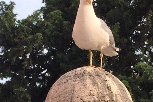 Фотография города