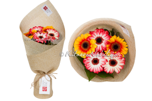 фотосъёмка цветов