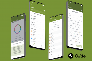 Мобильное приложение для учета личных финансов на no-code платформе Glide