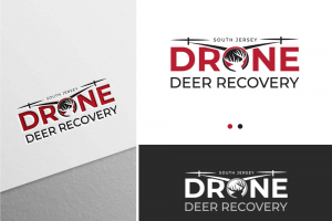 Разработка логотипа для компании производства дронов