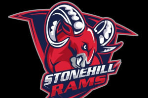 Разработка логотипа для команды