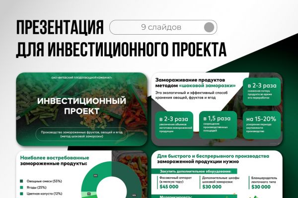 Редизайн презентации для инвест проекта