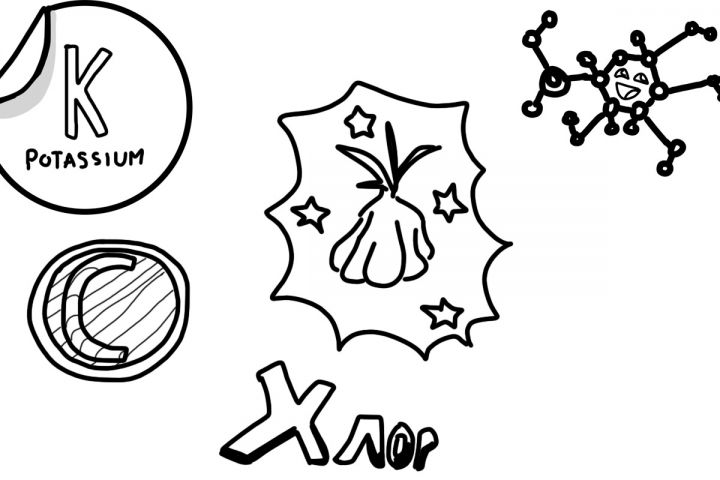 Дудл анимация Бесплатно - 5378292