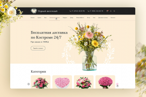 Дизайн сайта