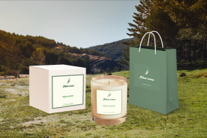 Разработка айдентики для компании Aristan aroma