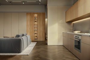 Кухня-гостиная