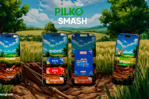 Дизайн игры Pilko Smash