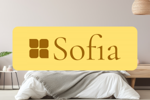 Лого и фирменный стиль магазина мягкой мебели Sofia