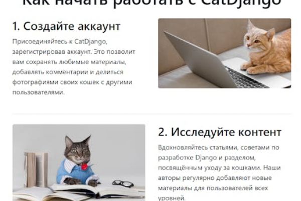 CatDjango — это уникальная платформа, объединяющая любителей кошек и разработчиков Django