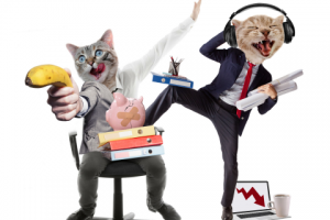 Коллаж на тему бизнеса.