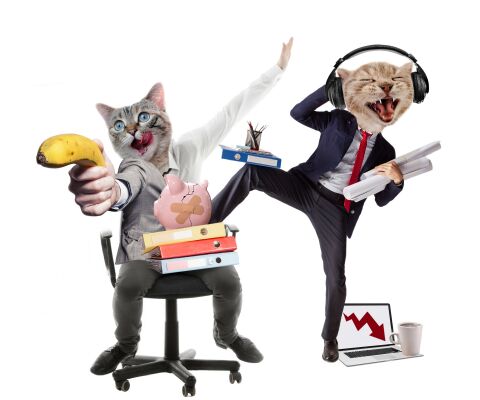 img4286572.png