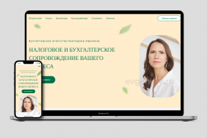 Бухгалтерское агентство