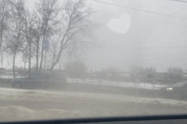 перевод текста