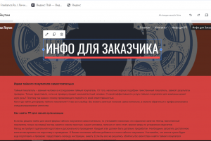 Сайт визитка-инфо для компании по оценке сервиса (Тайный покупатель)