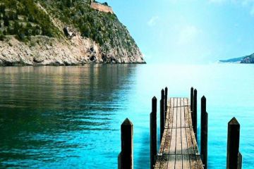 Журналистика