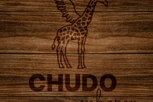 Разработка логотипа для компании CHUDO творец