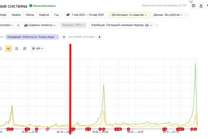 Комплексное SEO-продвижение магазина цветов