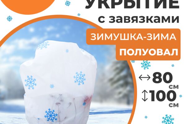 1 слайд Зимнее Укрытие ШАР 50_50 ОЗОН.png