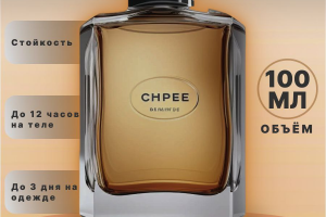 Инфографика