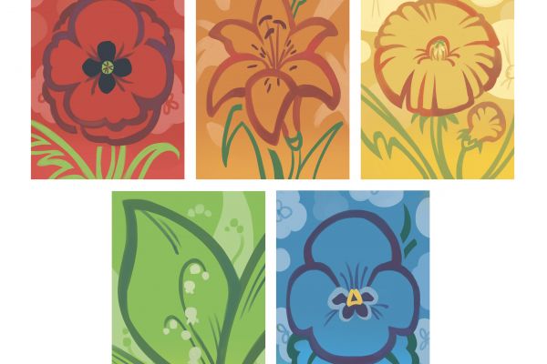 Создание карточек по цветам