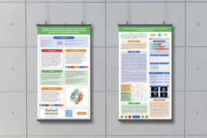 ПОСТЕРЫ для научной конференции