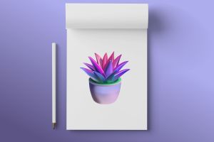 ILLU_ALOE VERA_gradient_150325_845