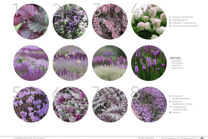 Ландшафтный проект Концепция + визуализация - 5399589