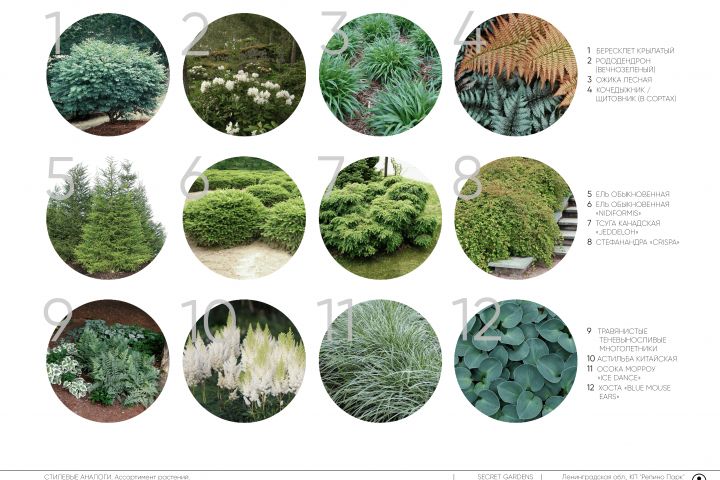 Подбор материалов, растений и МАФ для сада - 5399597