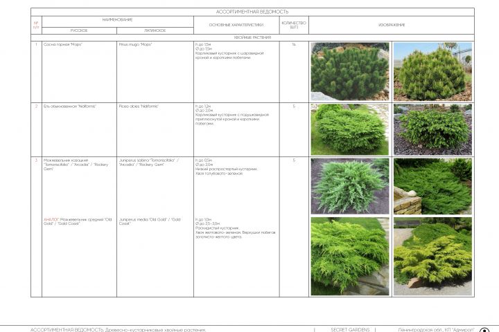 Проект озеленения - 5399602
