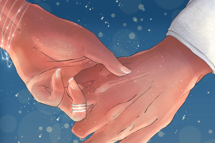 �����������