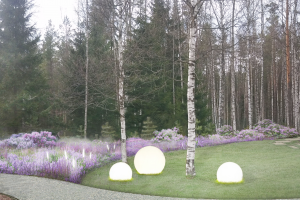 Ландшафтный проект Концепция "Погружение в лиловый сон" (+ визуализация)