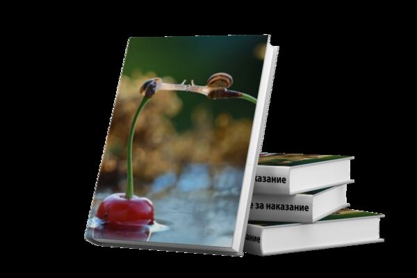 prestuplenie_za_nakazanie_mockup-1024x668.png