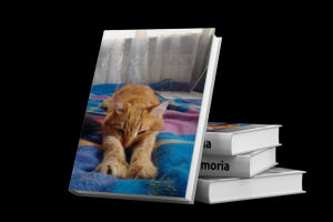 In Memoria