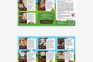 Дизайн буклета