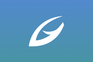 Разработка ВПН