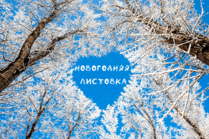 новогодняя листовка