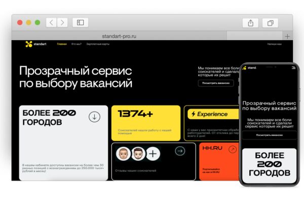 standart-pro.ru.png