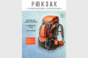 Инфографика