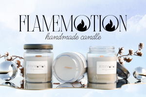 Этикета и 3D визуализация для FlameMotion